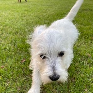 Meet your Posher, Olivia